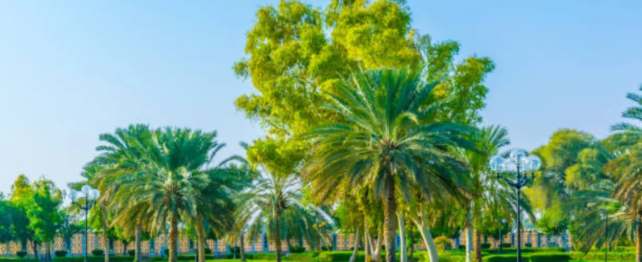 al-ain